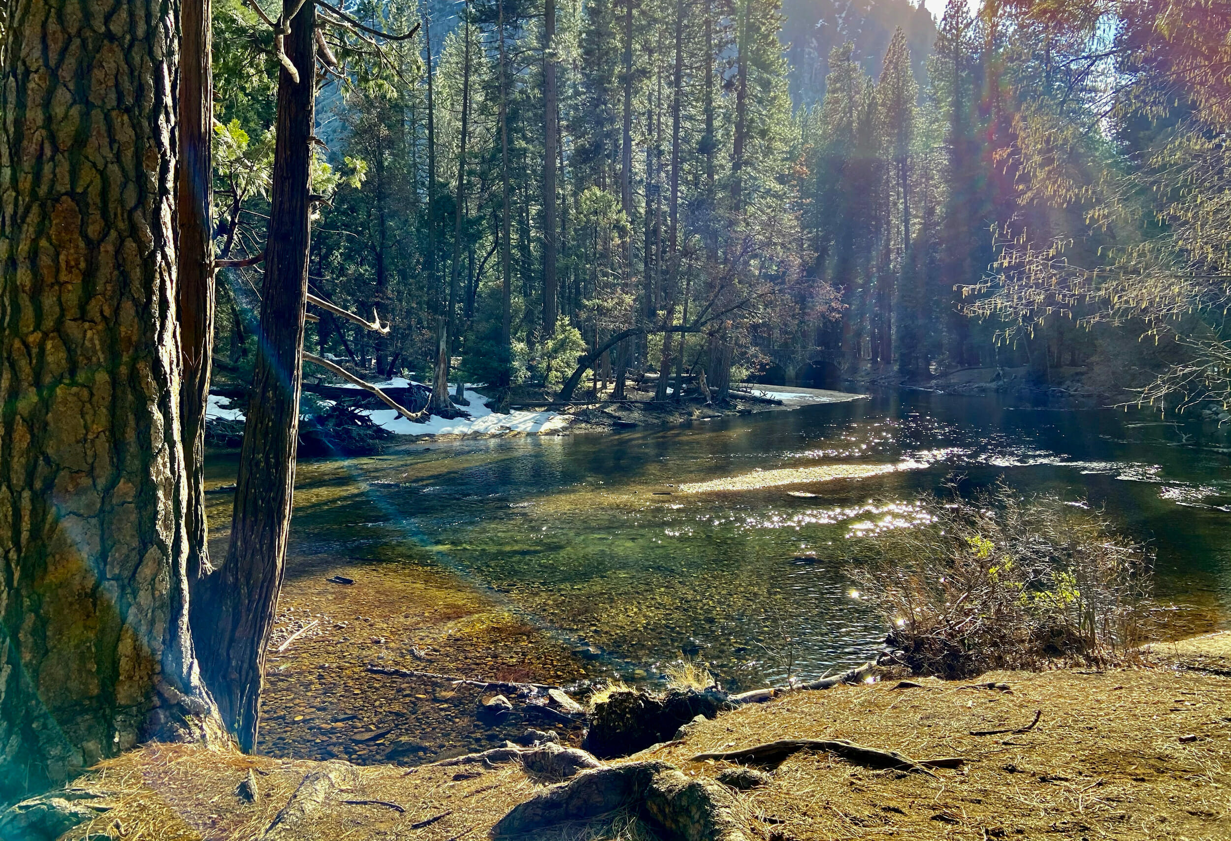 On the river